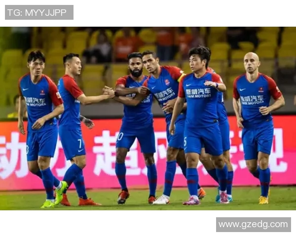 武汉网球队灵活性引发热议球迷与专家各执己见探讨争议背后的真相